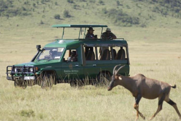 Game drive